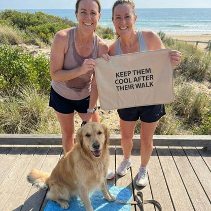 Cooling Dog Mat