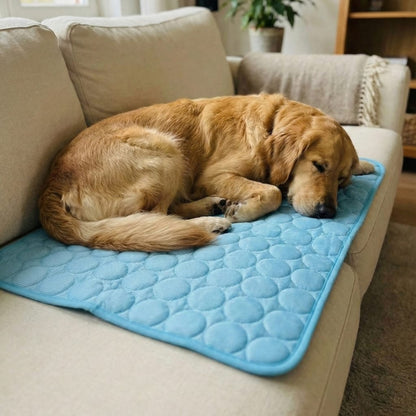 Cooling Dog Mat