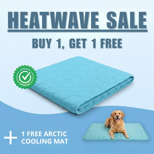 Cooling Dog Mat