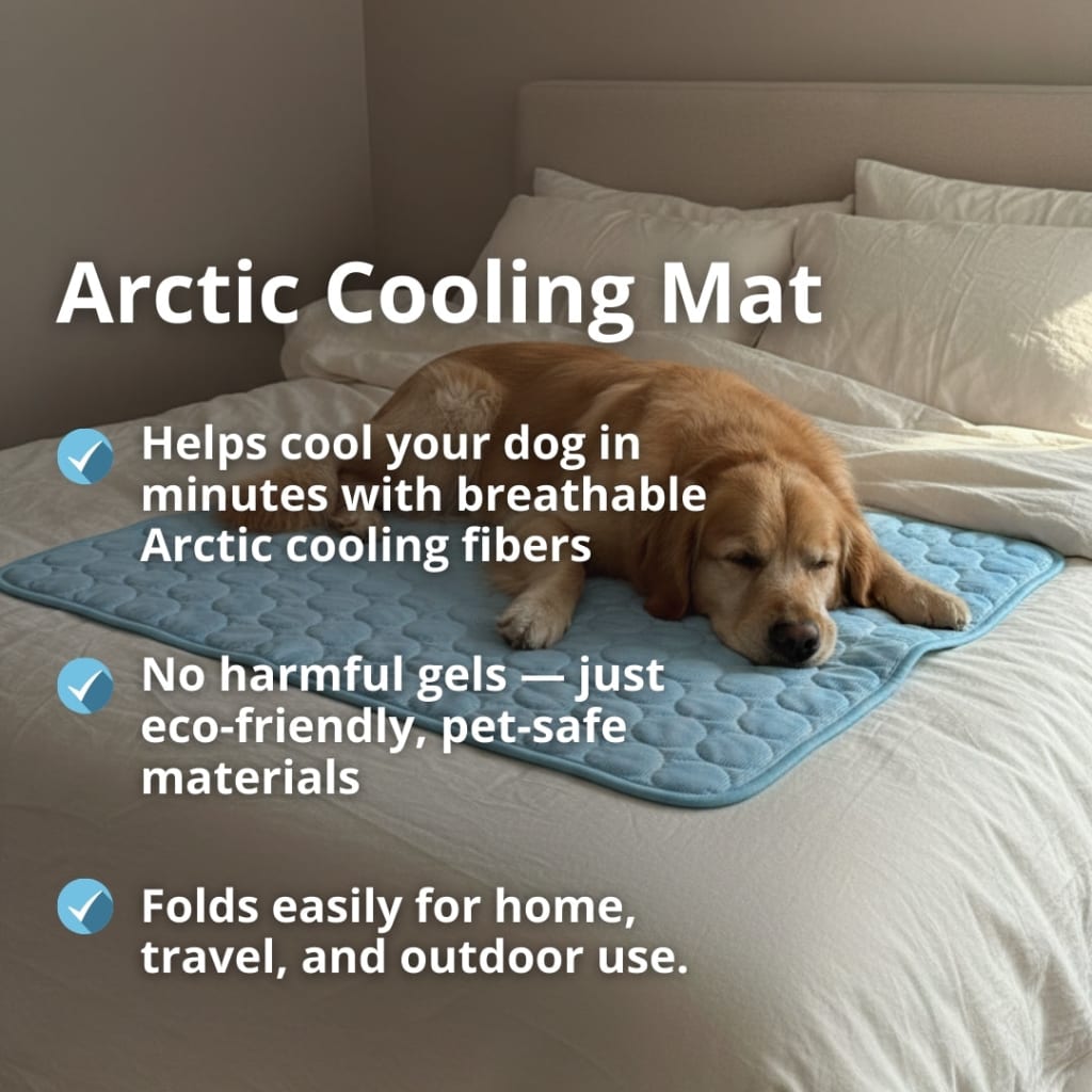 Cooling Dog Mat