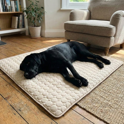 Cooling Dog Mat